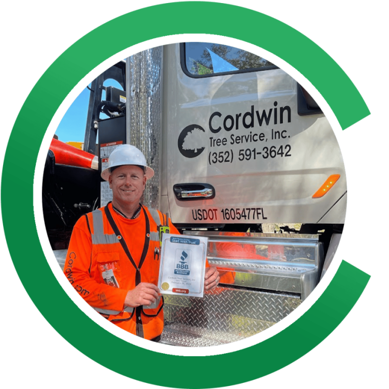Expert Tree Service In Ocala, FL Cordwin Tree Service (352) 2903668