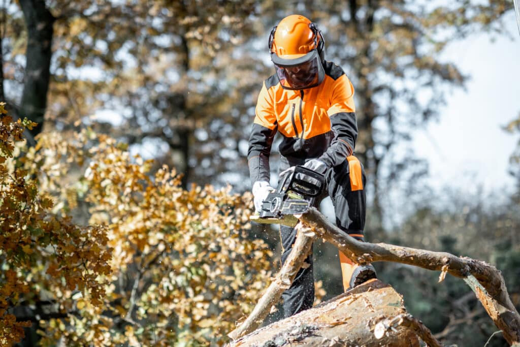 Lumberman in protective workwear sawing with a chainsaw branches from a tree trunk in the forest. Concept of a professional logging