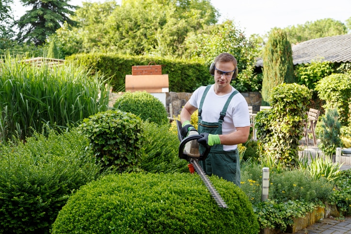 Gardeners gardening